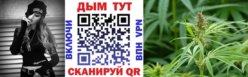 Канабис семена  OMG ONION  Прохладный  где продают  